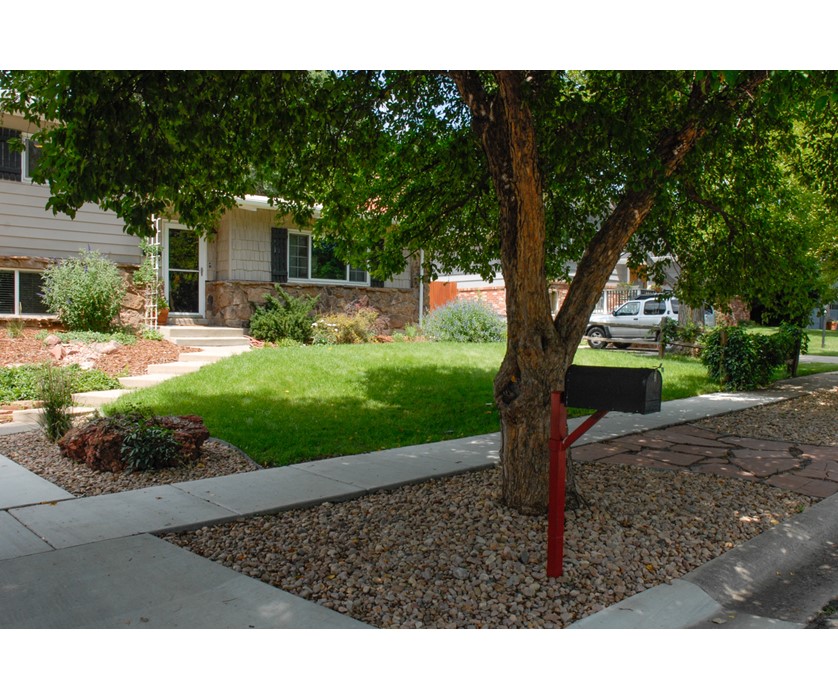 Colorado Springs Utilities Xeriscaping Grass Cut Down